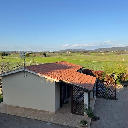 Agriturismo I Debbi บิบโบนา ภายนอก รูปภาพ