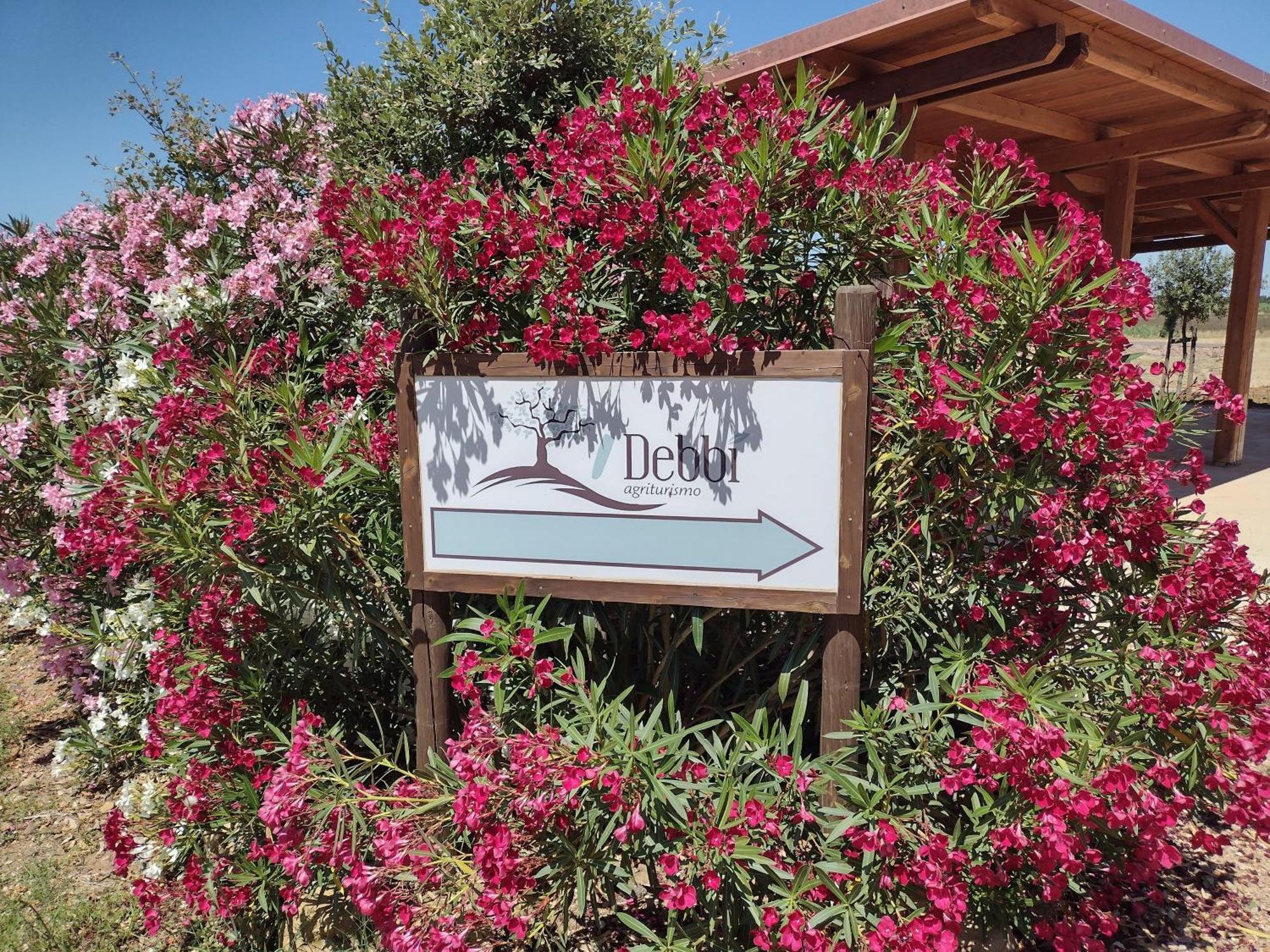 Agriturismo I Debbi บิบโบนา ภายนอก รูปภาพ