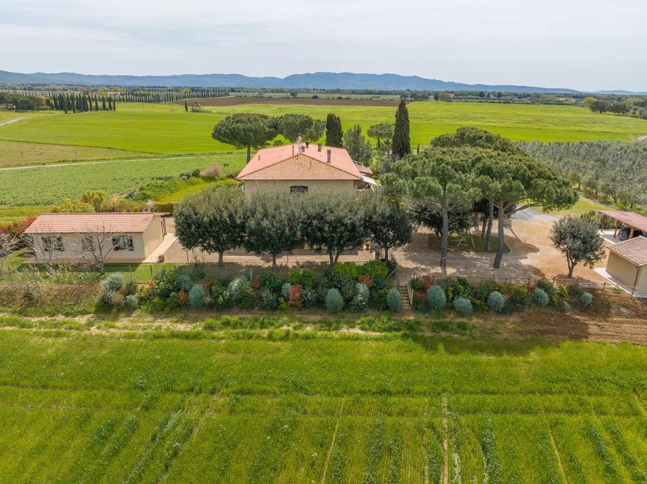 Agriturismo I Debbi บิบโบนา ภายนอก รูปภาพ